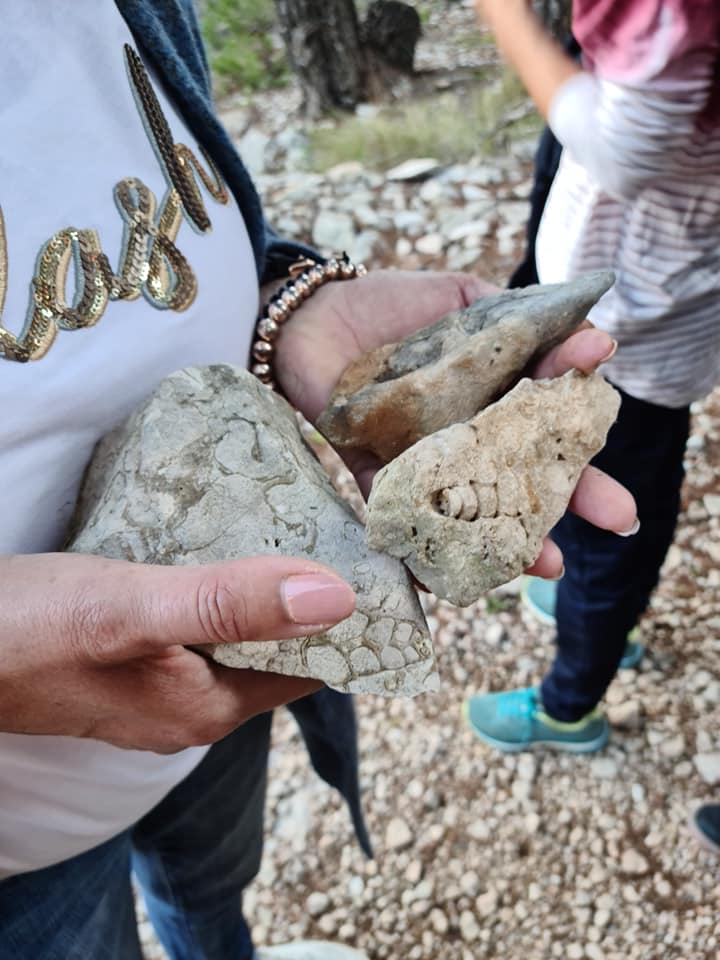 123202672 1518216638387958 9217657165389873815 n