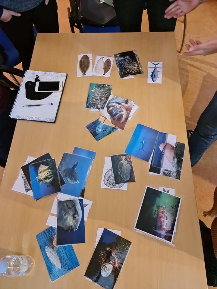 123282762 1518216838387938 3533829631580479570 n